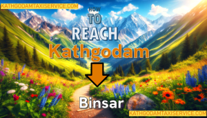 how to reach binsar from kathgodam